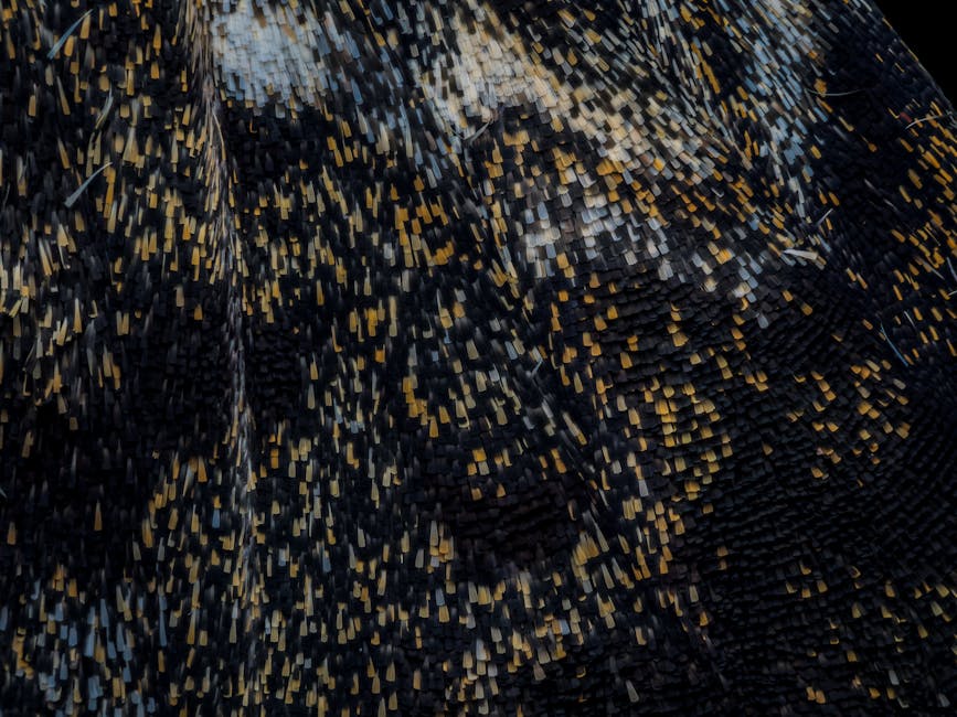 Add Elegance to Your Parking Lots with Colorful Asphalt