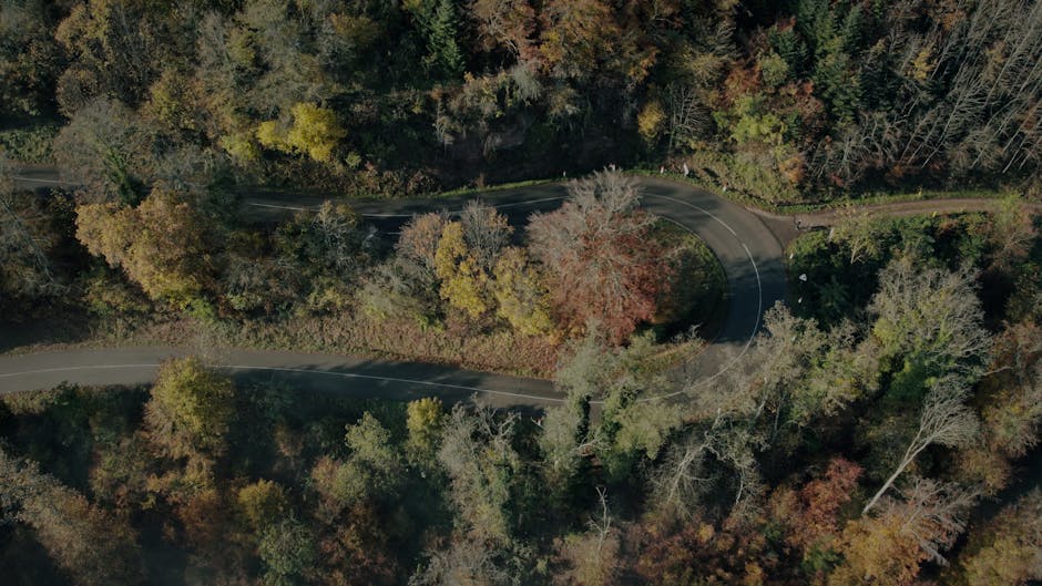 Diving into the Depths of Asphalt Prices: Who Will Build the Roads?