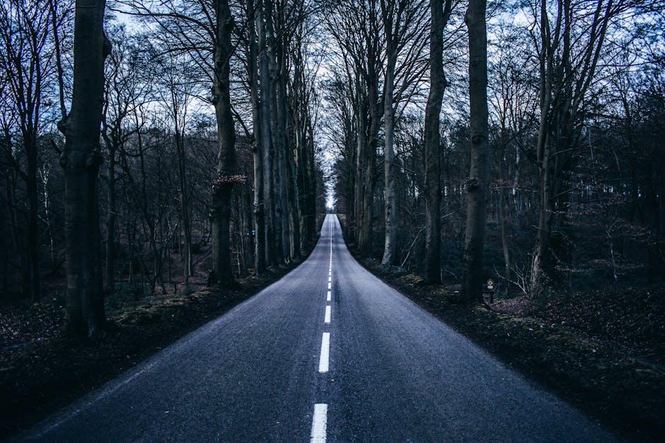 2026 New Methods and Opportunities in Asphalt Applications