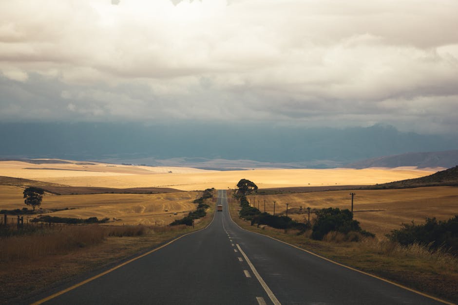 Special Asphalt Companies: Experts Building the Future of Roads